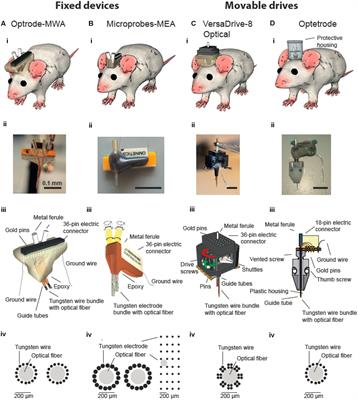 A Toolbox for Optophysiological Experiments in Freely Moving Rats